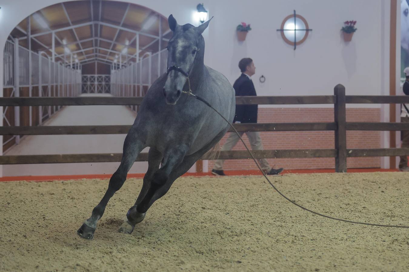 Durante la jornada previa se cuidan todos los detalles para que el Sicab 2024 sea un éxito