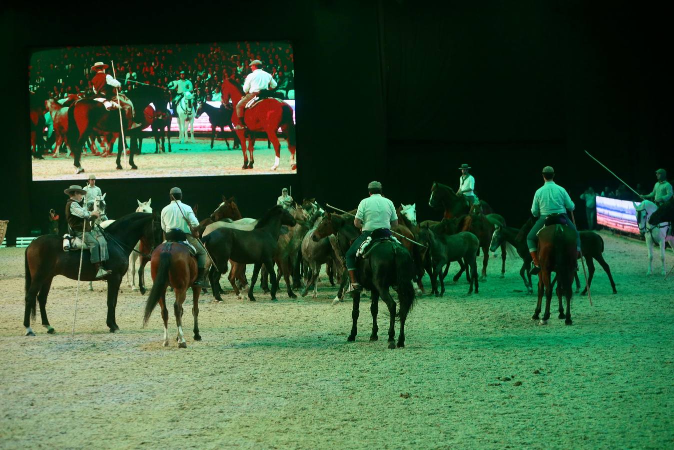 El salón reúne en Fibes 893 ejemplares de 323 ganaderías hasta el próximo domingo