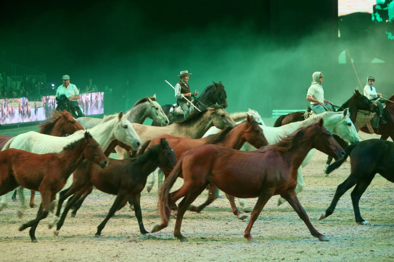 El salón reúne en Fibes 893 ejemplares de 323 ganaderías hasta el próximo domingo