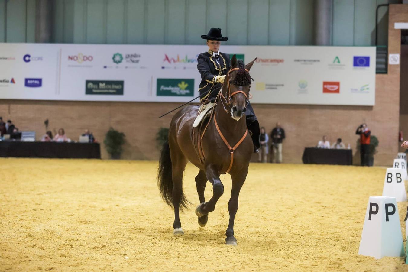 El Sicab se ha convertido en una cita obligada para los aficionados y profesionales del mundo del caballo