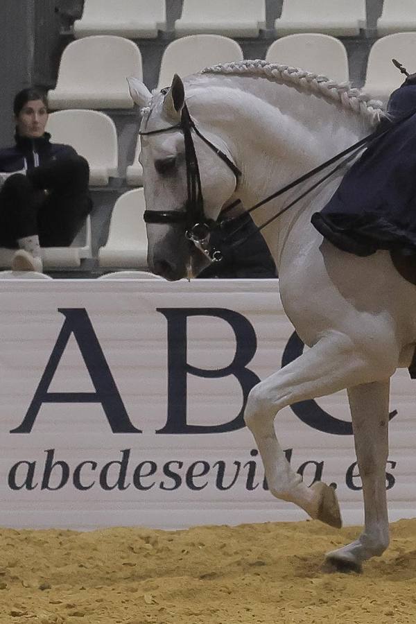 El Sicab se ha convertido en una cita obligada para los aficionados y profesionales del mundo del caballo