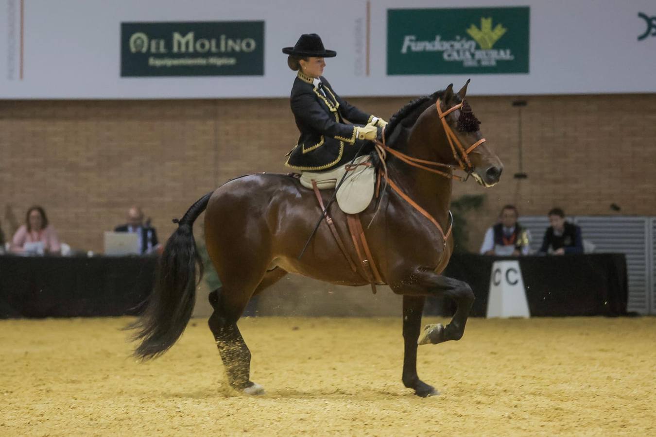 El Sicab se ha convertido en una cita obligada para los aficionados y profesionales del mundo del caballo