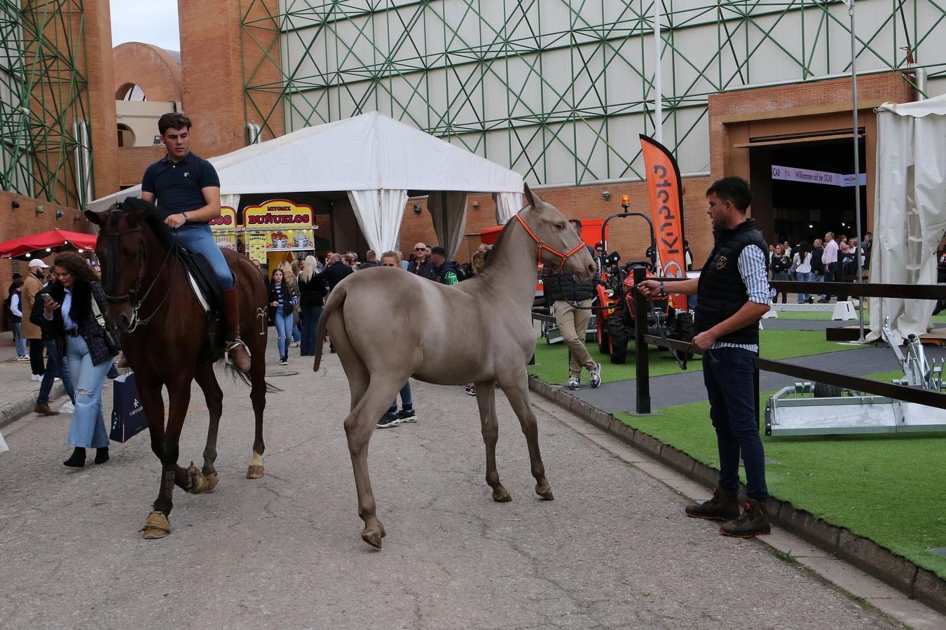 Los aficionados llenaron Fibes durante la jornada del viernes