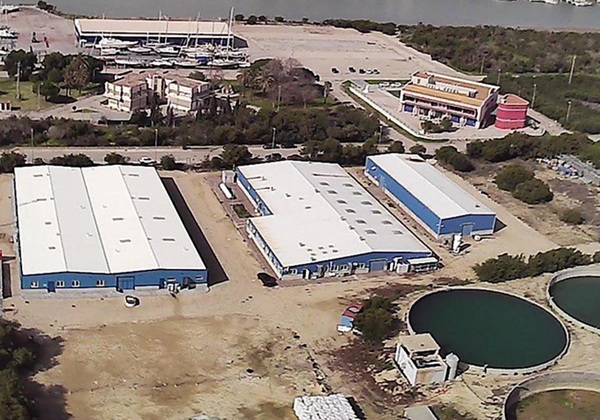 Instalaciones en El Puerto de Santa María (Cádiz) de la empresa Futuna Blue España, donde la Junta de Andalucía es socio minoritario con el 1,9% del capital