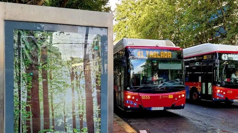 Procesión Magna de Sevilla, guía de movilidad: dónde aparcar, horarios de Metro y autobuses y cómo moverse en las bullas