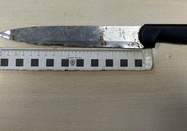 Intenta acceder por el tejado a casa de su novia en Sevilla con intención de matarla en Nochevieja
