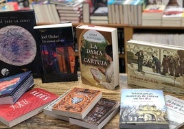 Estos son los libros más vendidos en Sevilla y provincia en 2024