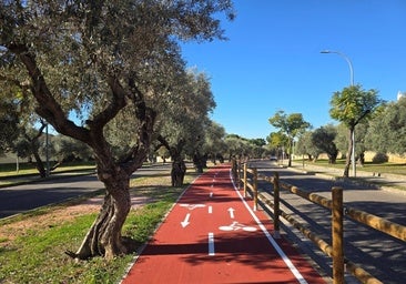 Terminado el tramo del carril bici que conecta Dos Hermanas con la estación de metro y Metrobús de Olivar de Quintos