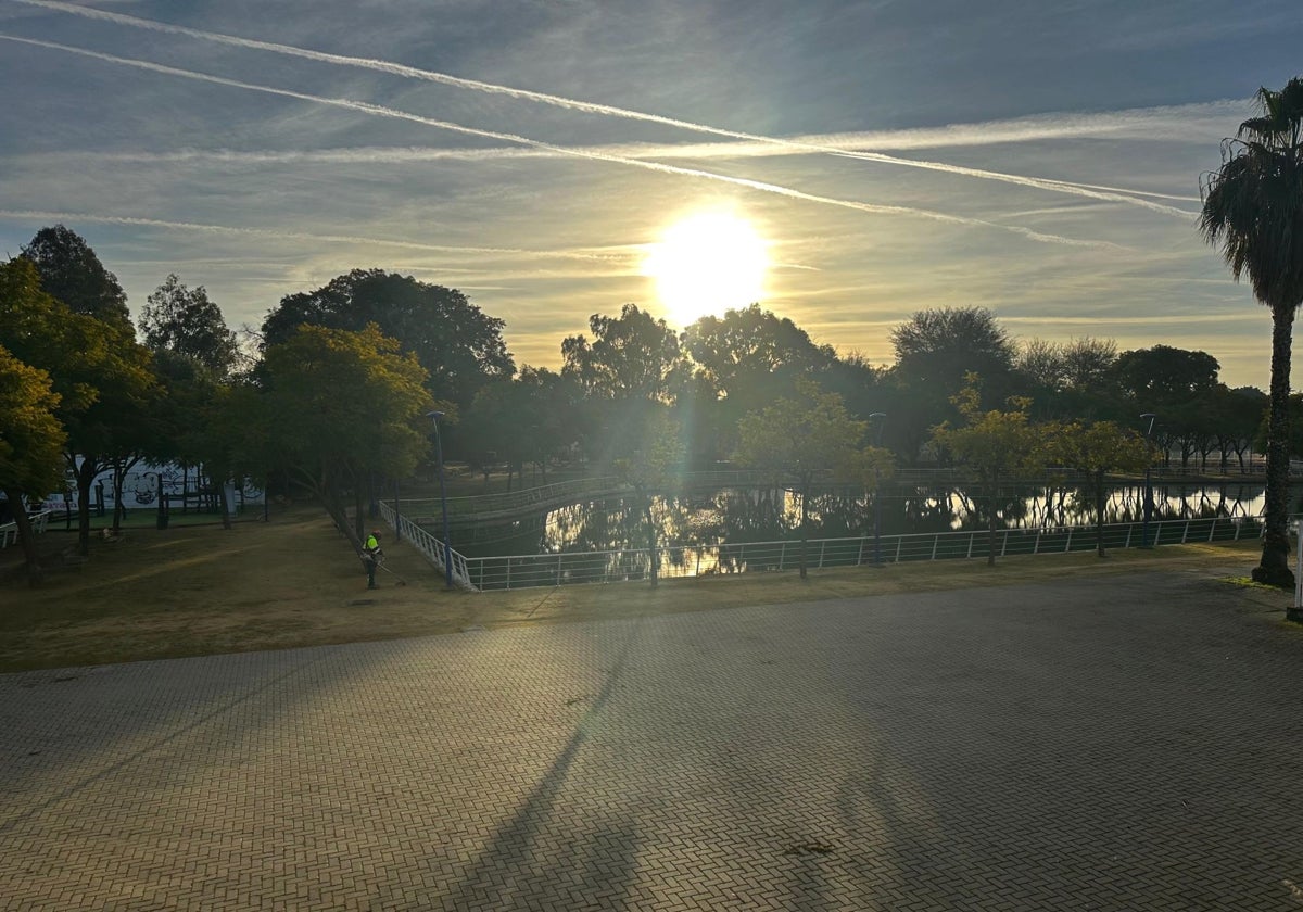 La laguna del Jardín Americano libre de algas