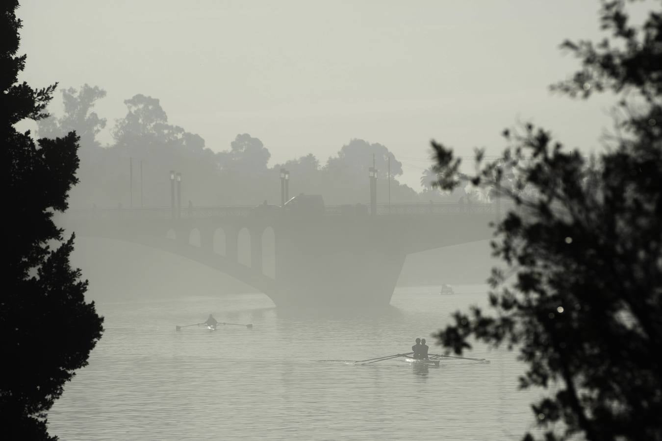 Estampas bonitas y fantasmagóricas a la vez de los rincones de Sevilla con niebla