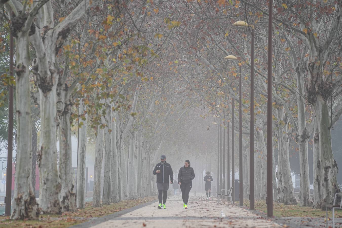 Estampas bonitas y fantasmagóricas a la vez de los rincones de Sevilla con niebla