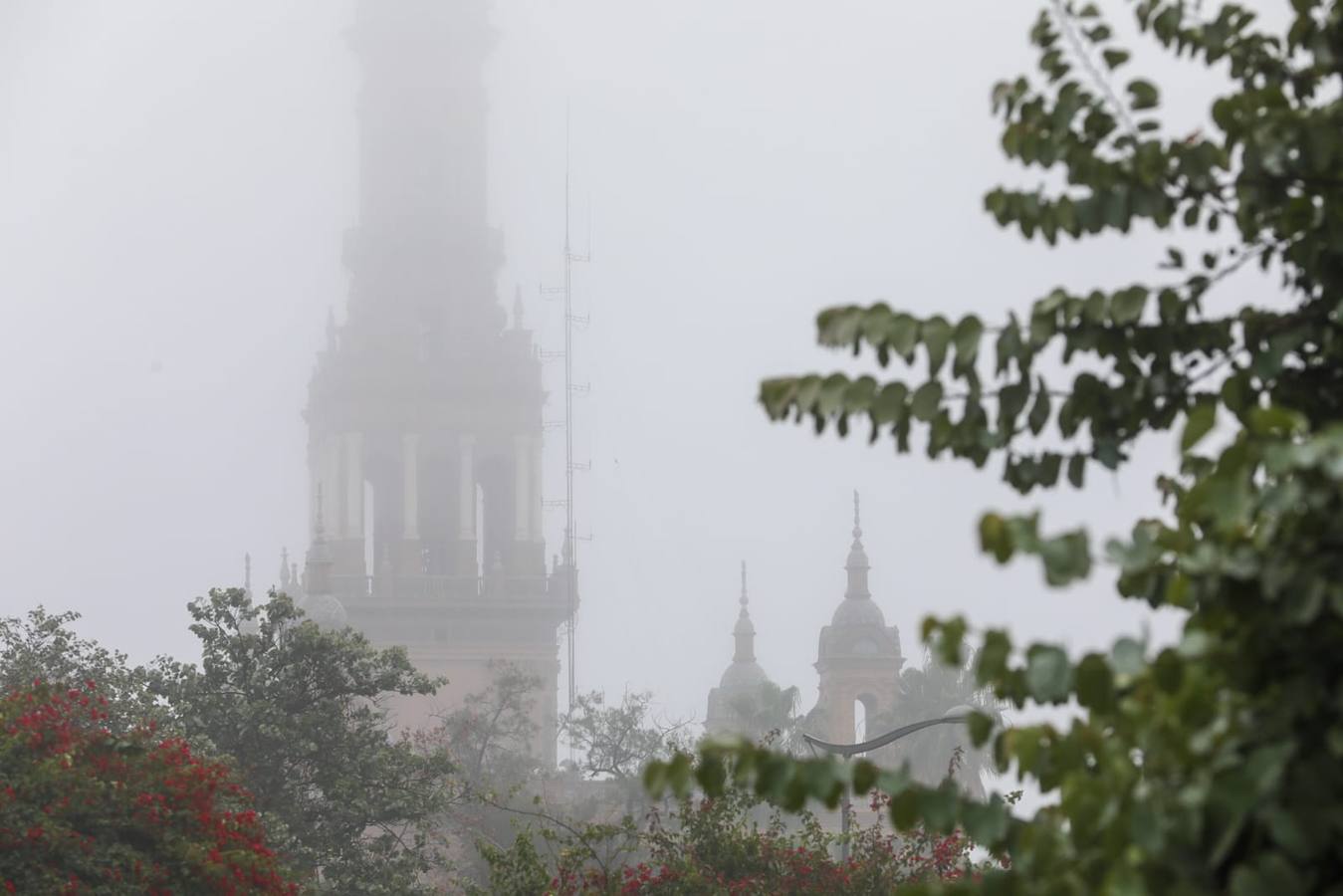 Estampas bonitas y fantasmagóricas a la vez de los rincones de Sevilla con niebla