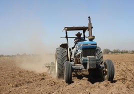 Muere un hombre al volcar el tractor que conducía en una huerta de Alcalá de Guadaíra