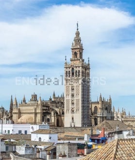 Imagen secundaria 2 - Así es la casa en venta más cara de Sevilla: tiene cinco siglos, piscina, vistas a la Giralda y vale 8 millones de euros