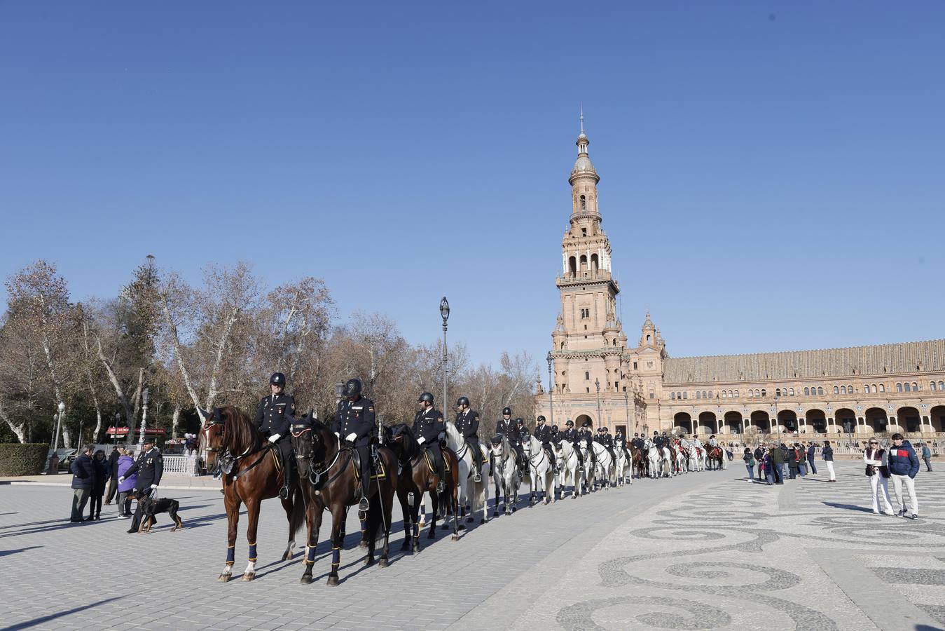 Los animales han sido los grandes protagonistas de este acto homenaje de la Policía Nacional