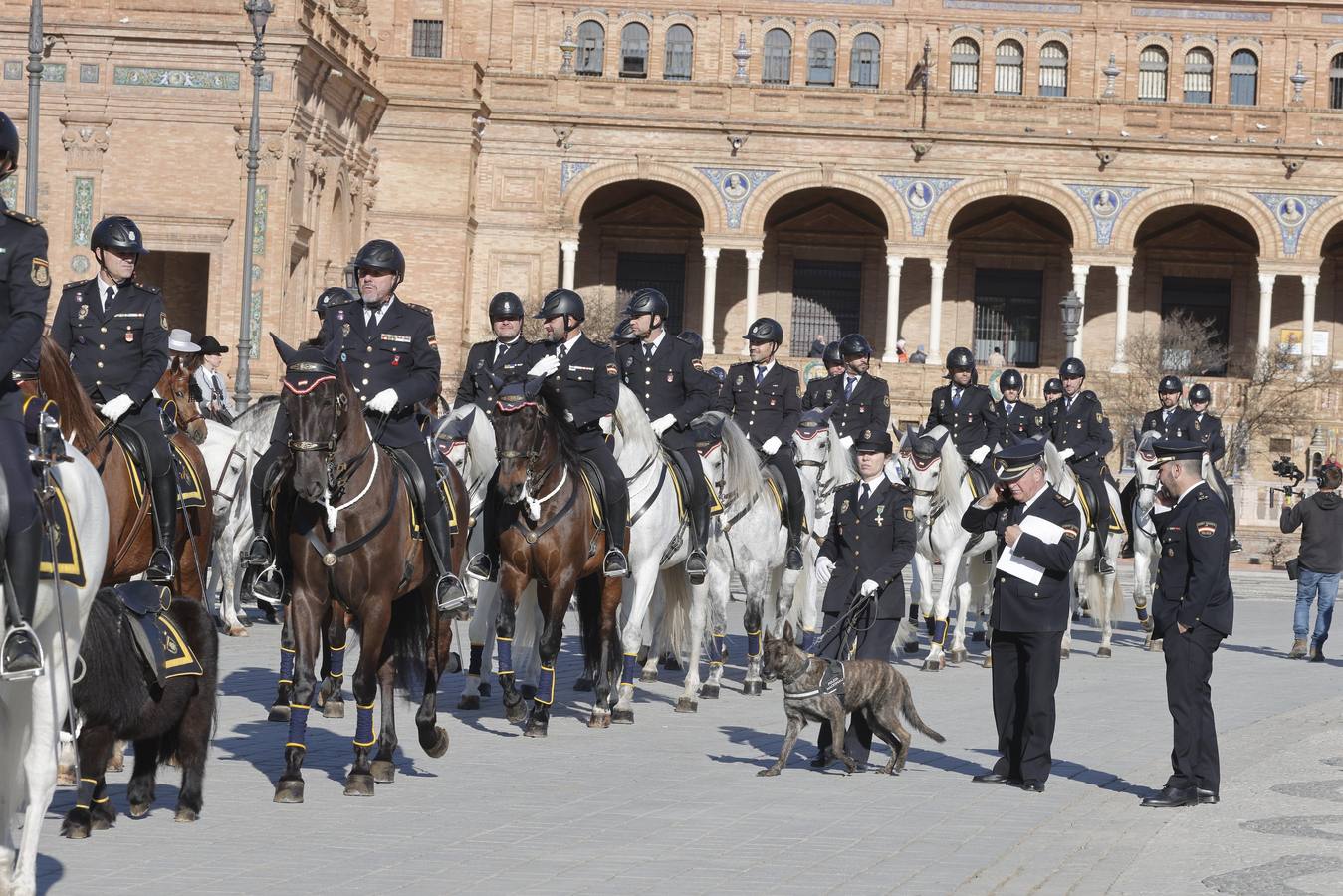 Los animales han sido los grandes protagonistas de este acto homenaje de la Policía Nacional