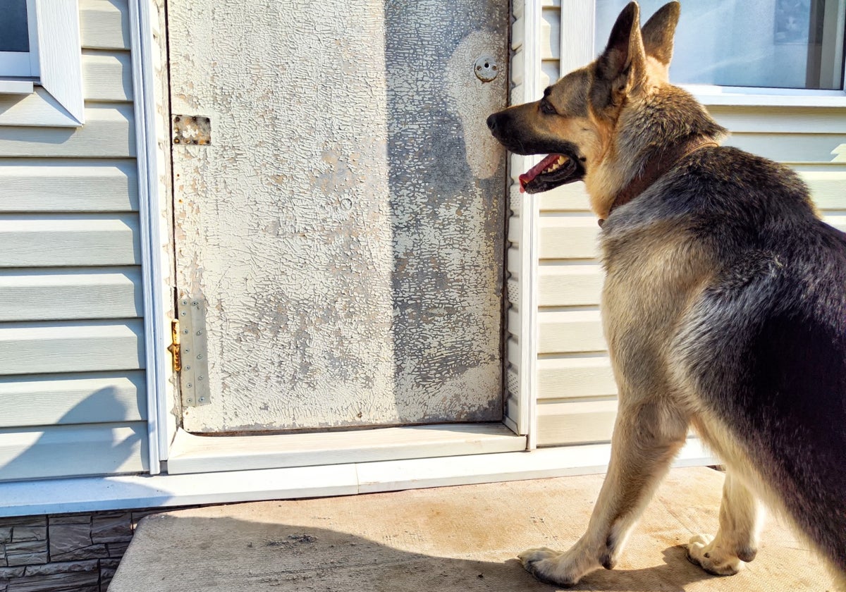 El perro del condenado era un pastor alemán que ladraba durante todo el día