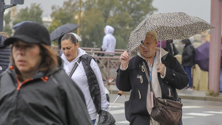 Cazalla de la Sierra es el municipio de Sevilla donde más ha llovido en enero