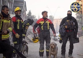El dueño de Yetro, el perro sevillano rescató a un bebé de 7 meses en el terremoto de Turquía: «Ha sido desgarrador»
