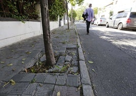 Emasesa reformará las calles Júcar, Jamaica y Tenerife en Heliópolis durante nueve meses