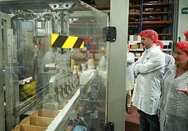 Andalucía lidera las exportaciones de aceituna de mesa en el mundo