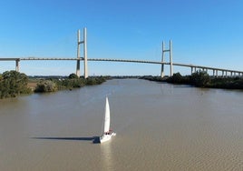 Los ingenieros recurren al Tribunal Supremo el nuevo dedazo a Ineco del puente de la SE-40 de Sevilla