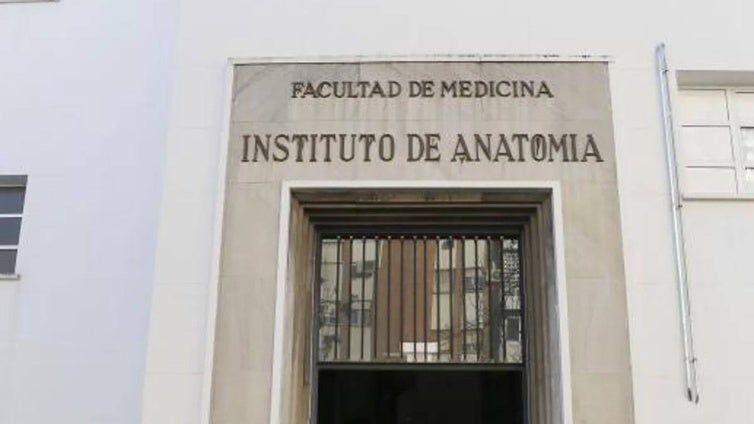 Tres alumnos de la Universidad de Sevilla alcanzan el podio en las pruebas de acceso a la Formación Sanitaria Especializada