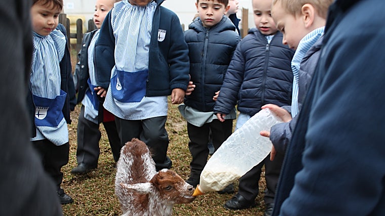 Altair: fomentar el amor por la naturaleza desde la educación infantil