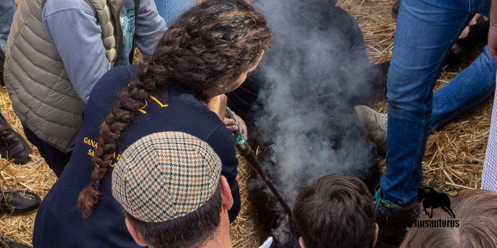 Sara Palacios , la joven de Coria del Río que trabaja como camarera para poder ser ganadera: «No entiendo la vida sin esfuerzo»