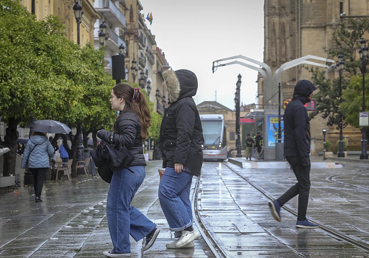 La lluvia se ha notado en Sevilla capital a lo largo de la mañana y hasta media tarde de este sábado