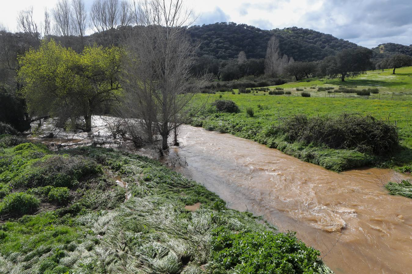 El vehículo del matrimonio fue arrastrado con ellos dentro por la fuerza del agua del arroyo Guadalvacar tras las intensas lluvias