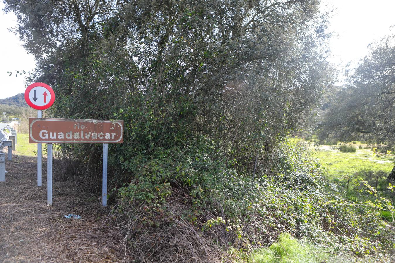 El vehículo del matrimonio fue arrastrado con ellos dentro por la fuerza del agua del arroyo Guadalvacar tras las intensas lluvias