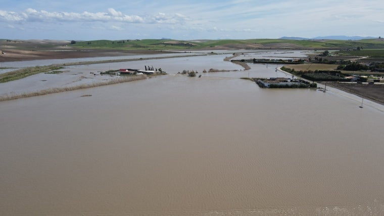 El arroyo Salado a su paso por El Palmar de Troya muestra una espectacular anchura y caudal