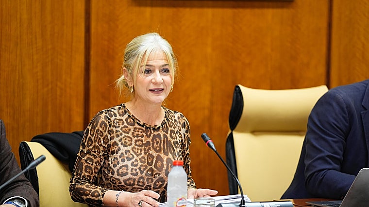 Patricia del Pozo durante su comparecencia en la Comisión de Cultura del Parlamento andaluz