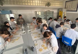 Los alumnos del colegio Sagrada Familia de Urgel participan en el Proyecto Micro Mundo de la Universidad de Sevilla