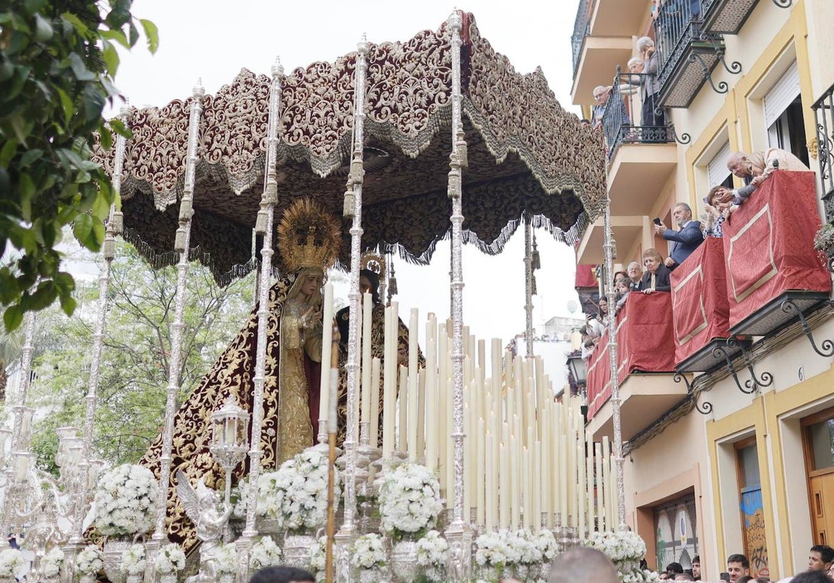 El palio de la Virgen de la Amargura este Domingo de Ramos