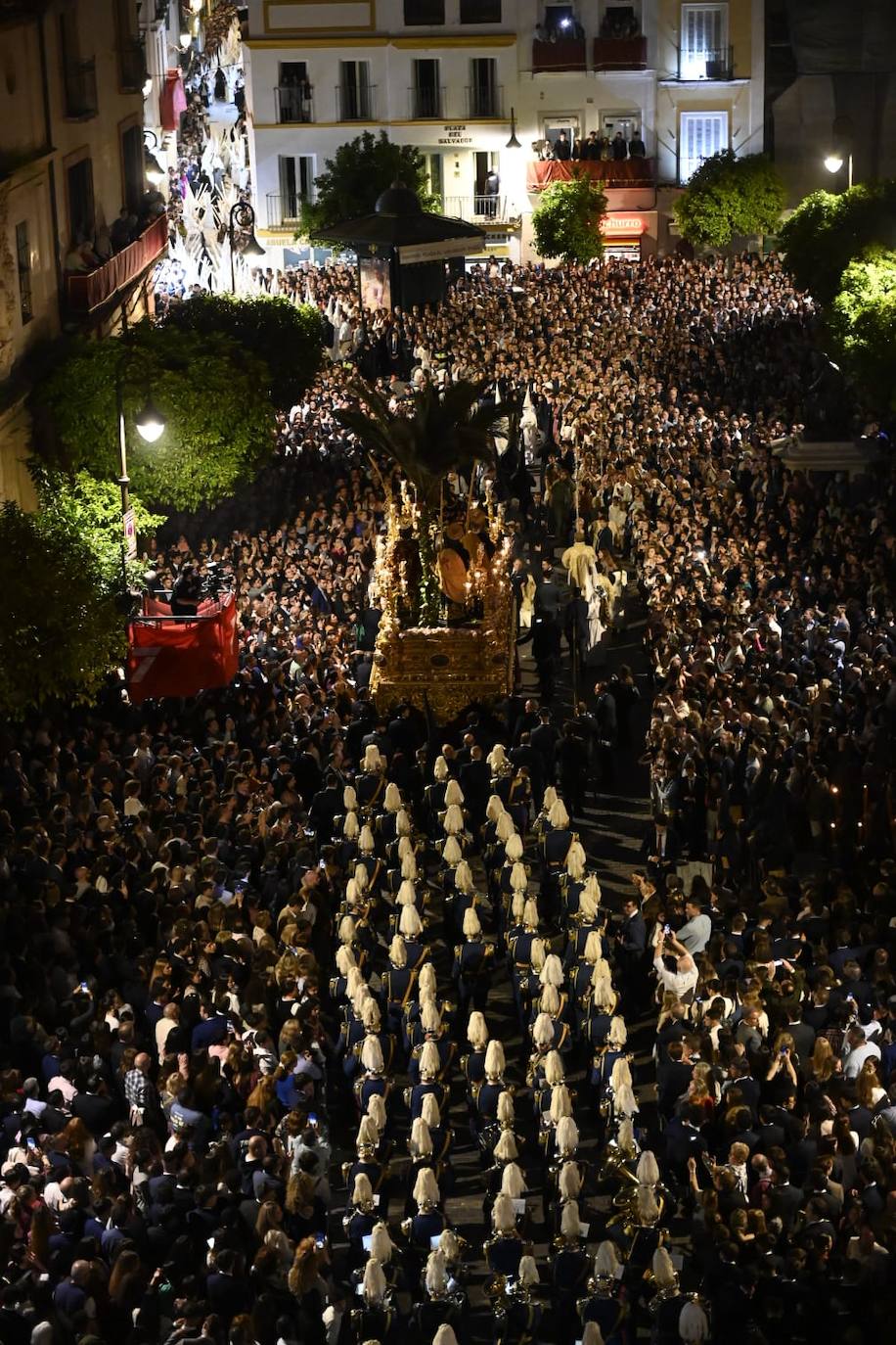 Hermandad del Amor este Domingo de Ramos