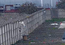 Cae una organización que robaba cobre en plantas fotovoltaicas y naves de pueblos de Sevilla