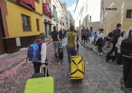 Una estadounidense en la Semana Santa Sevilla: «He estado en Nueva York y otros grandes destinos, pero nunca había visto tanta gente junta»