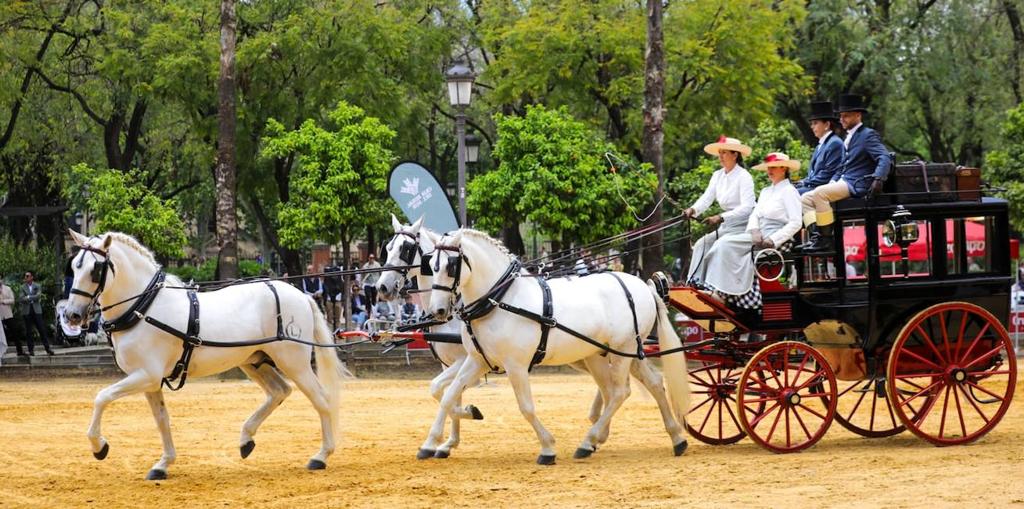 Aplazada por el mal tiempo la XXXIX Exhibición de Enganches de Sevilla