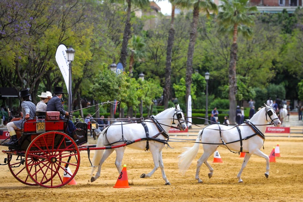 Paseo de los enganches por El Prado, San Telmo y la Plaza de España