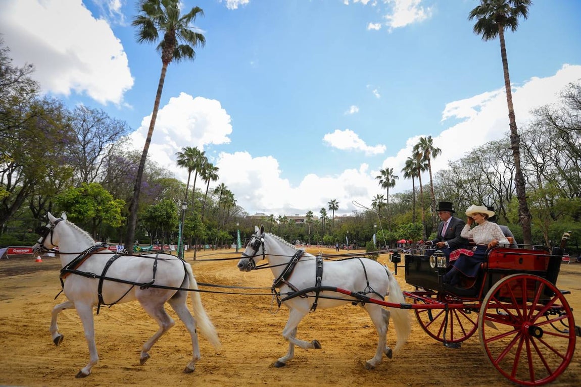 Paseo de los enganches por El Prado, San Telmo y la Plaza de España