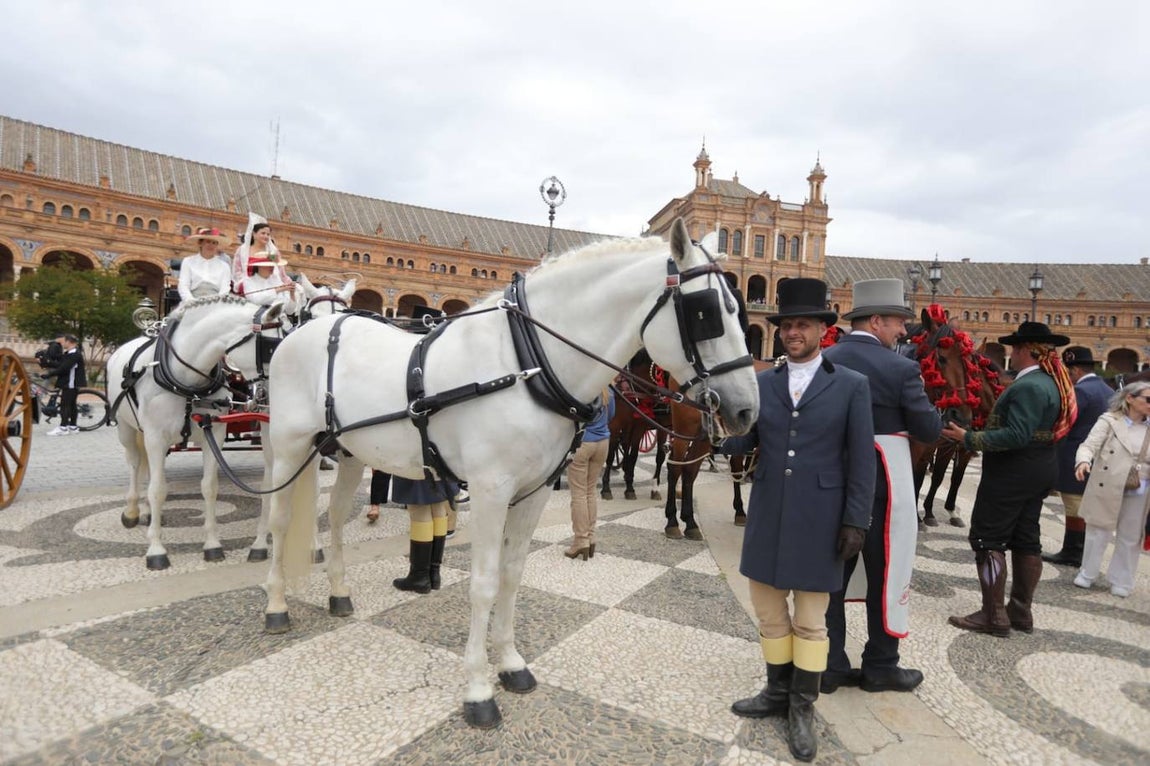 Paseo de los enganches por El Prado, San Telmo y la Plaza de España