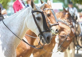 Martes de Feria de Sevilla 2025: arranca el modelo de siempre (y II)