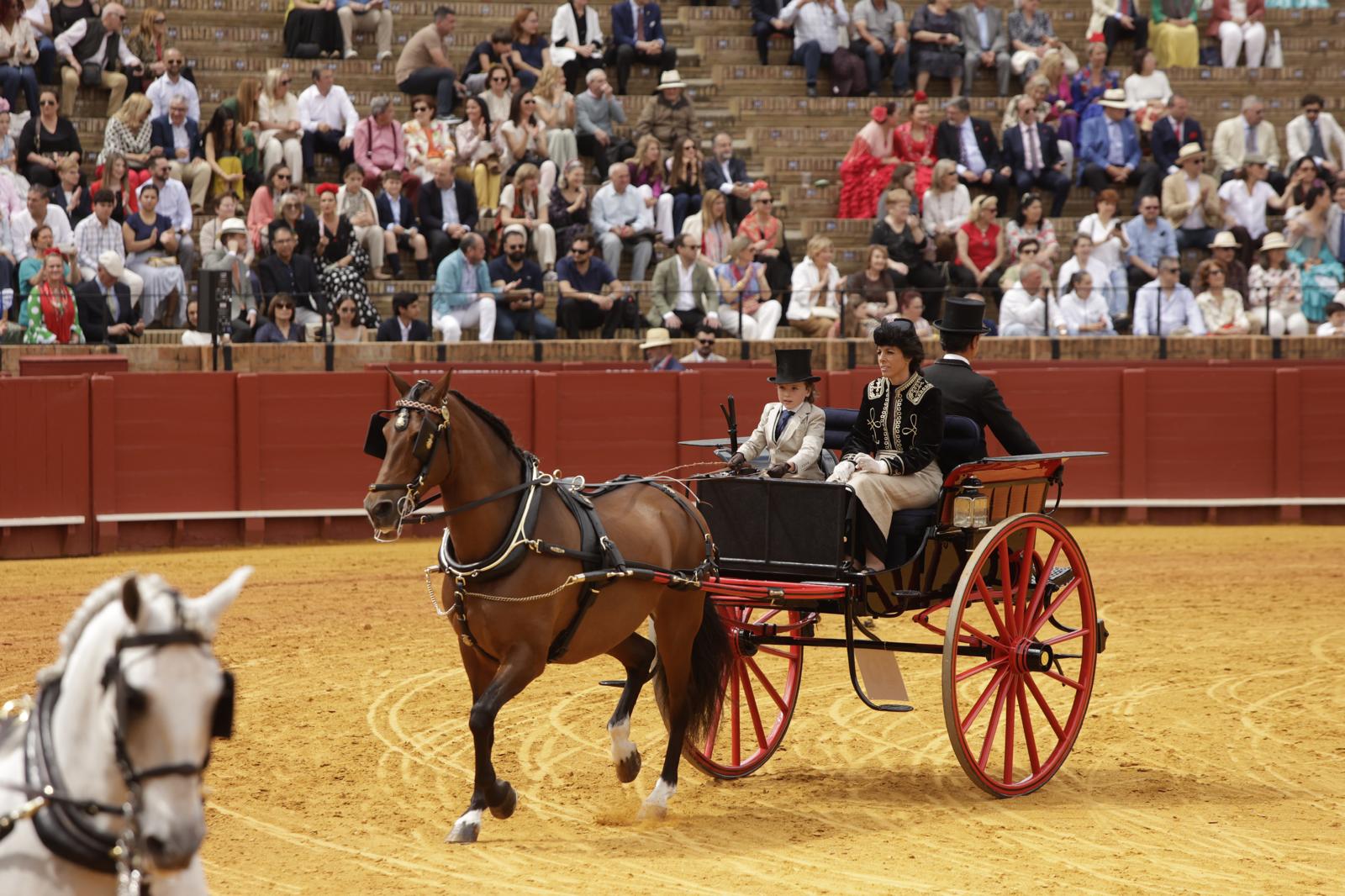 En imágenes, la Exhibición de Enganches en la Maestranza, un museo al aire libre