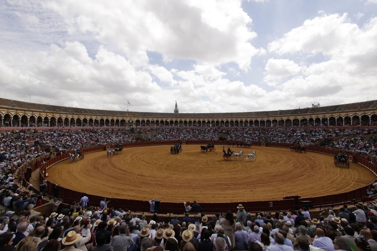 En imágenes, la Exhibición de Enganches en la Maestranza, un museo al aire libre