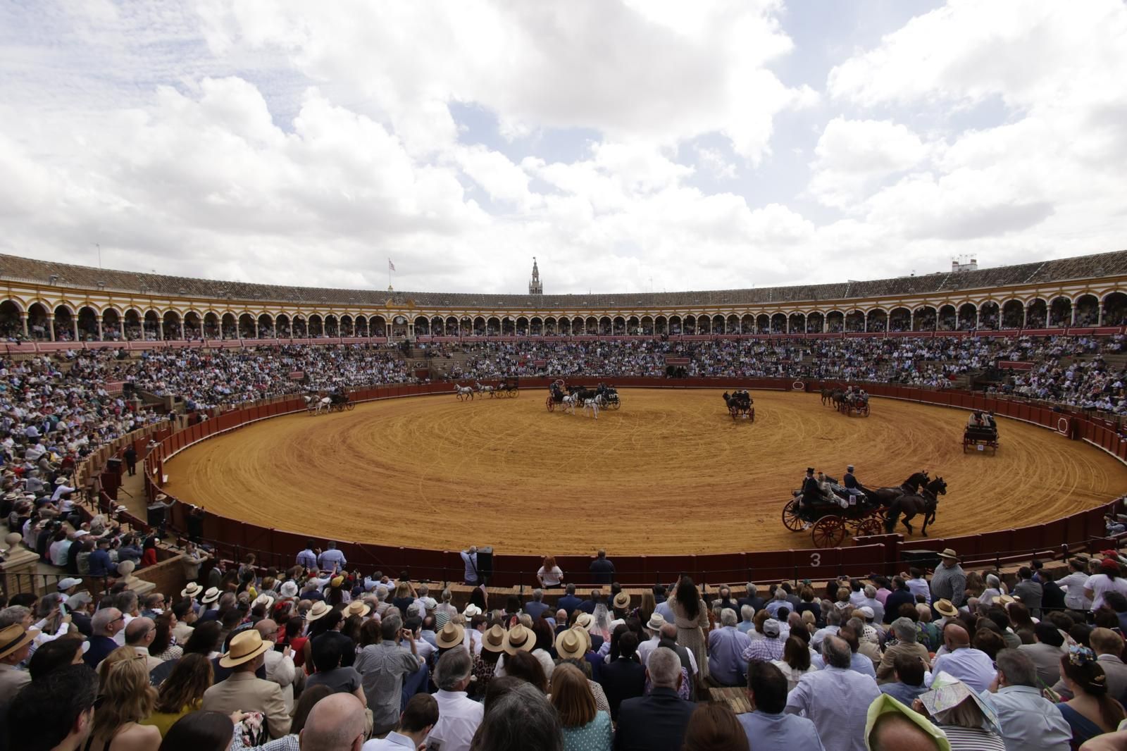 En imágenes, la Exhibición de Enganches en la Maestranza, un museo al aire libre