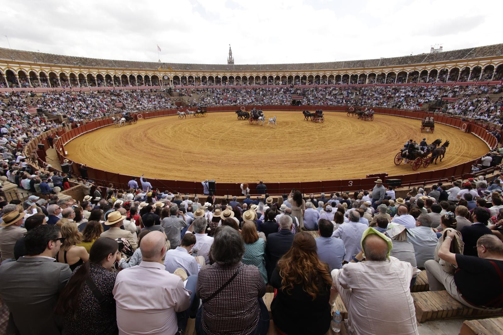 En imágenes, la Exhibición de Enganches en la Maestranza, un museo al aire libre