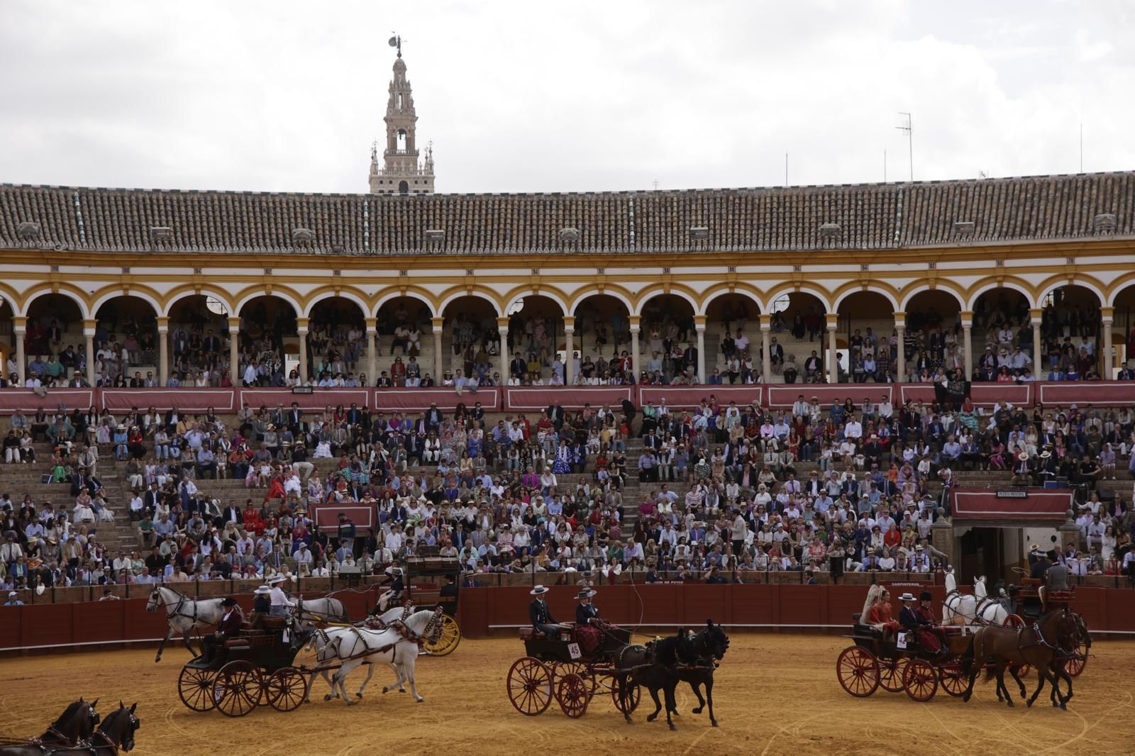 En imágenes, la Exhibición de Enganches en la Maestranza, un museo al aire libre