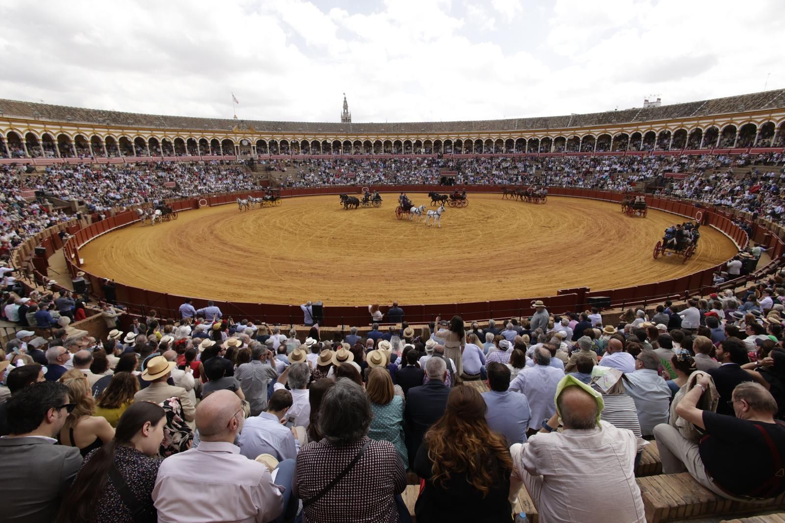 En imágenes, la Exhibición de Enganches en la Maestranza, un museo al aire libre